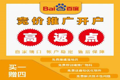 专业SEM托管助力企业快速成长案例分析